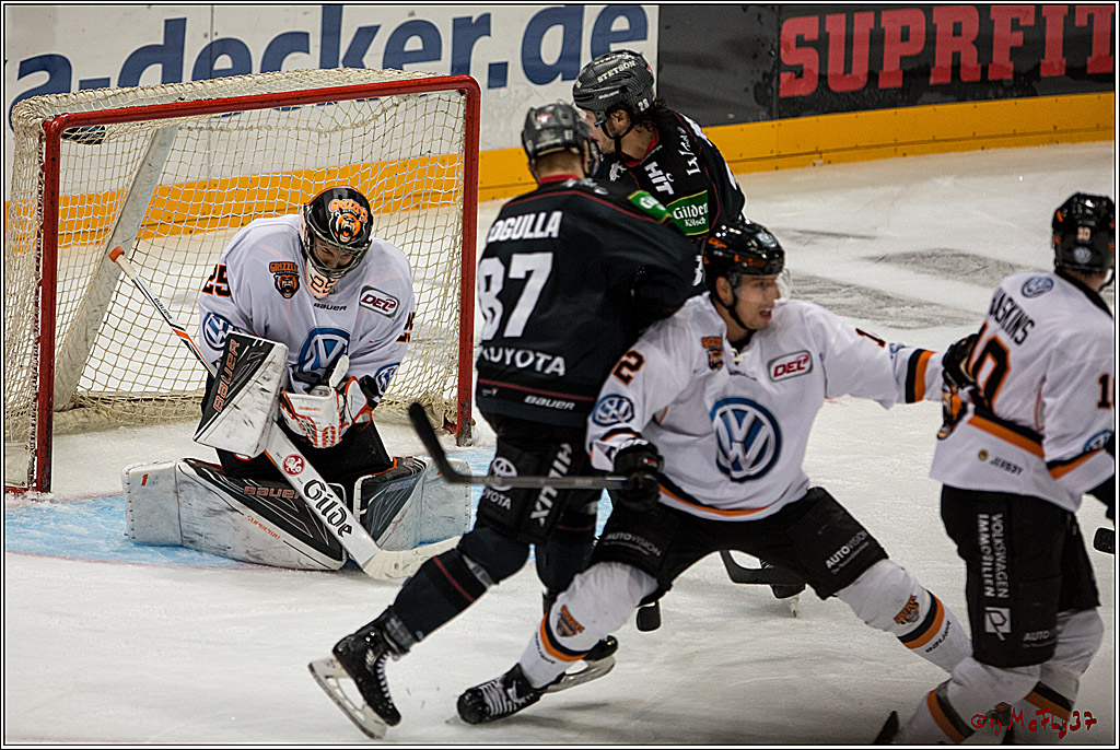 Koelner Haie - Grizzlys Wolfsburg, 16.10.2016, 16.10.2016